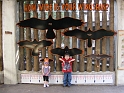 FWZoo_WingspanFamily (5)